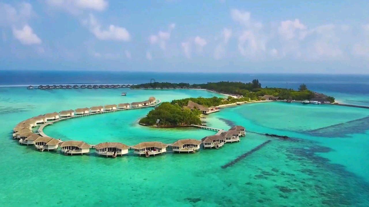 小僵尸射飞鸟