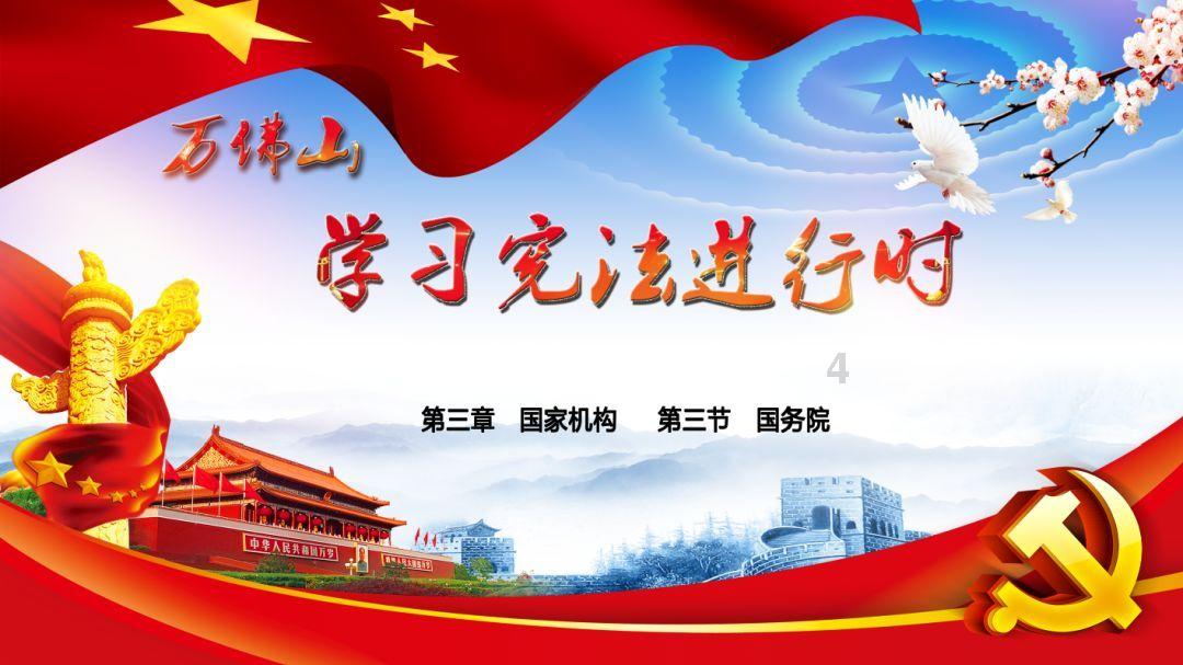 女子丢失心爱泰迪犬 警民接力寻回获点赞 看看吧